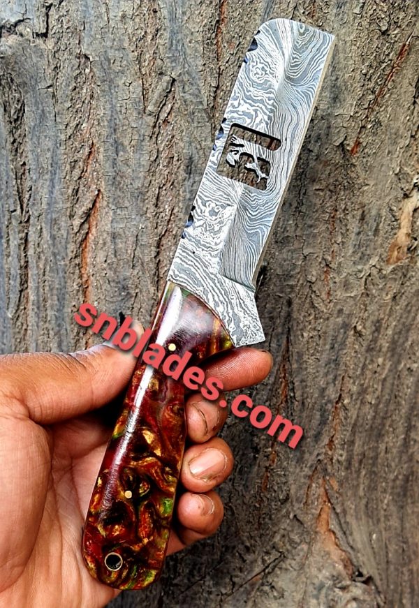 Coonhound bull cutter knife
